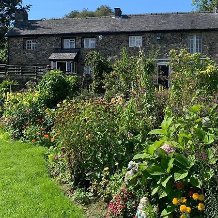 Pant-Y-Creolen Daire Llanfyllin Dış mekan fotoğraf