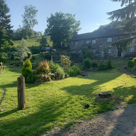Pant-Y-Creolen Daire Llanfyllin Dış mekan fotoğraf